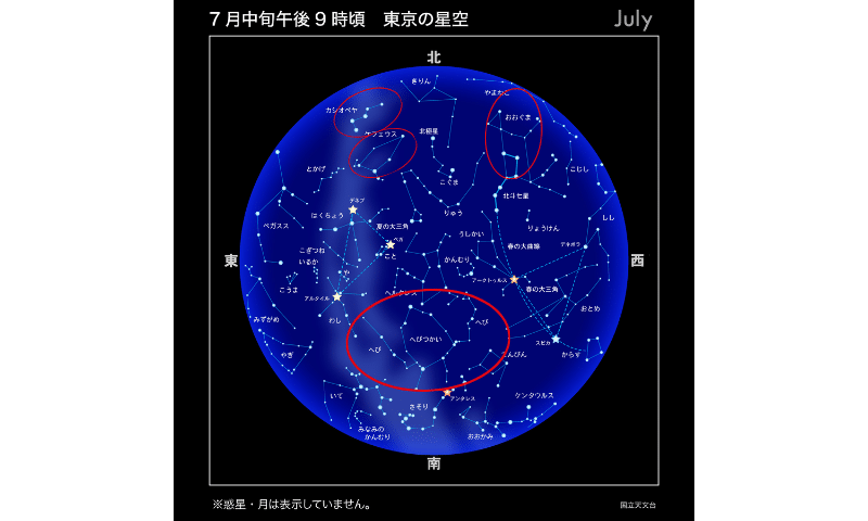 尊厳」のグループの星たち ｜チャンドラケイ｜マイカレWeb