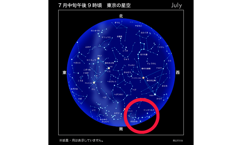 あなたを突き動かす恒星は？ 「使命感」のグループの星たち 前編 ｜チャンドラケイ｜マイカレWeb